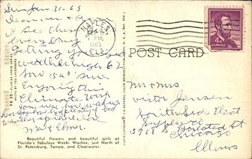Weeki Wachee Уики-Вачи, Флорида, Флорида Оригиналната реколта картичка 1965 г.