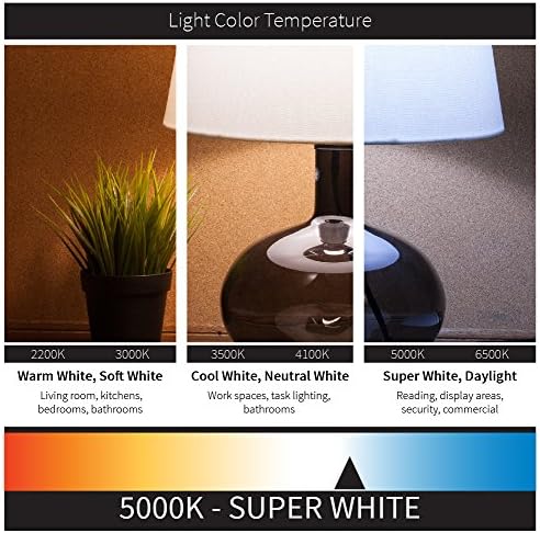 Крушки Sunlite CTC/LED/AQ/6W/E12/D/CL/50K LED 6W (еквивалентни на 60 W), включени в списъка на UL, Прозрачни Антични лампи CTC с Торпедообразным фитил, Диммируемый 5000 До Супер Бяло, подът под Канделябр (E12)