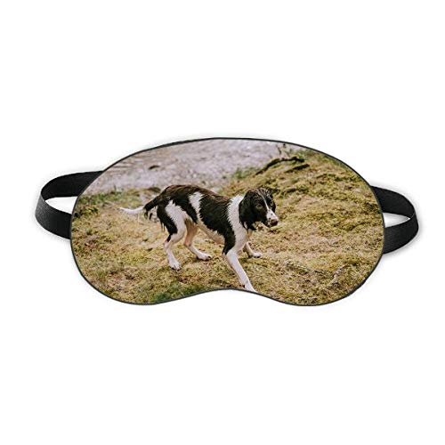 Кучето Е Черно-Бяло Изображение На Животното Сън Щит За Очите Мека Нощна Превръзка На Очите Сянка На Кутията